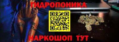 ECSTASY Конаково