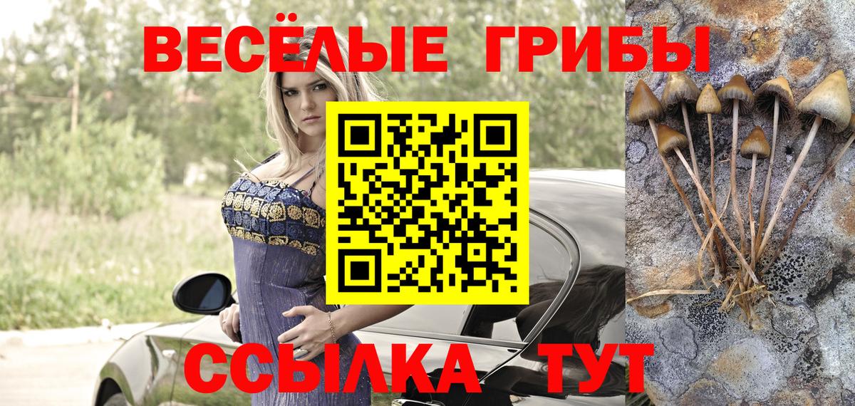 Галлюциногенные грибы прущие грибы Фрязино
