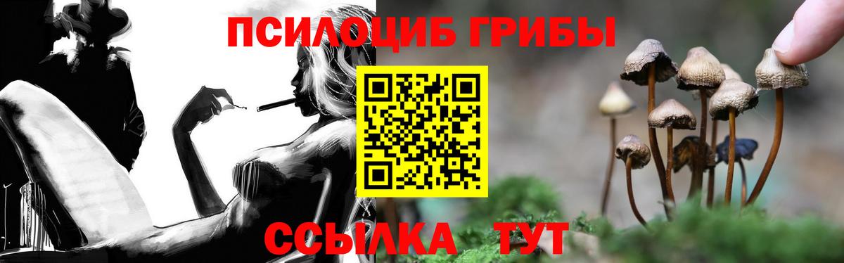 Псилоцибиновые грибы прущие грибы  Вход с VPN  Галлюциногенные грибы ЛСД  Фрязино 